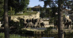 Freizeit Kategorie 1 Koelner Zoo