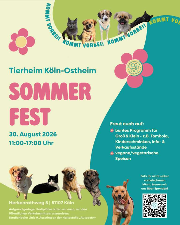 Sommerfest Tierheim